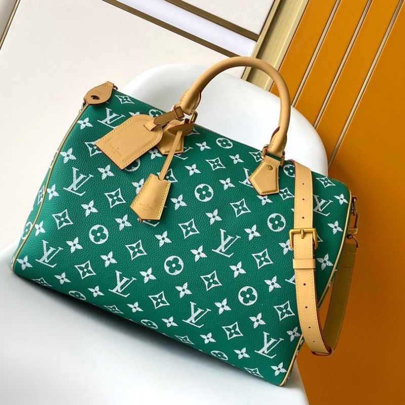 LV Travel Bags